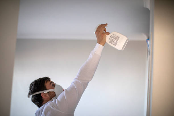 Best Commercial Mold Removal  in Coeburn, VA
