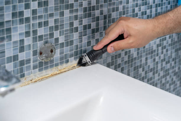 Best Affordable Mold Removal  in Coeburn, VA