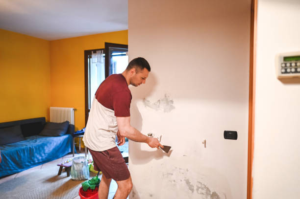 Best Crawl Space Mold Removal  in Coeburn, VA