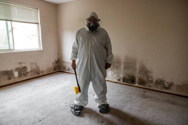 Best Professional Mold Removal  in Coeburn, VA